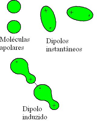 AtraÃ§Ã£o intermolecular do tipo dipolo induzido