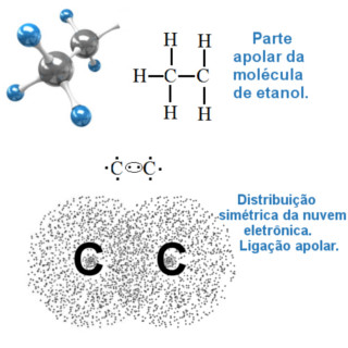 Ligação covalente apolar entre átomos de carbono do etanol