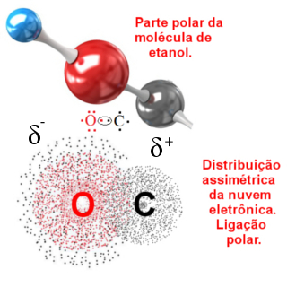 Ligação covalente polar entre átomos de carbono e oxigênio