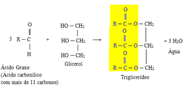 Reação genérica de formação do triglicerídeo a partir de três ácidos graxos e uma glicerina