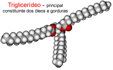 Molécula de triglicerídeo